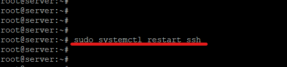 restart the SSH
