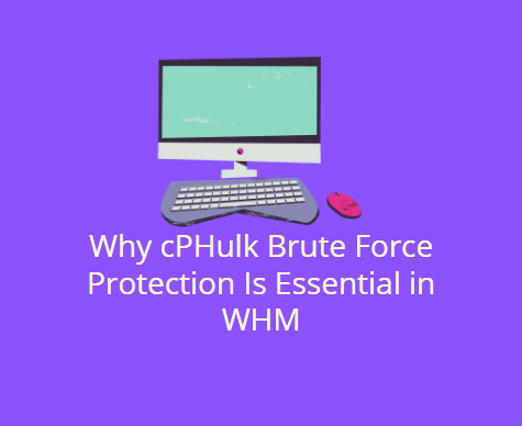 Why cPHulk Brute Force Protection Is Essential in WHM